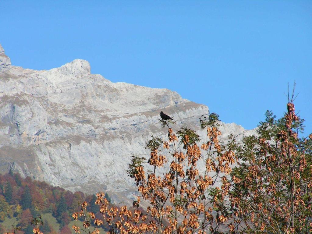 Chalet Narcisse Sixt Cameră foto