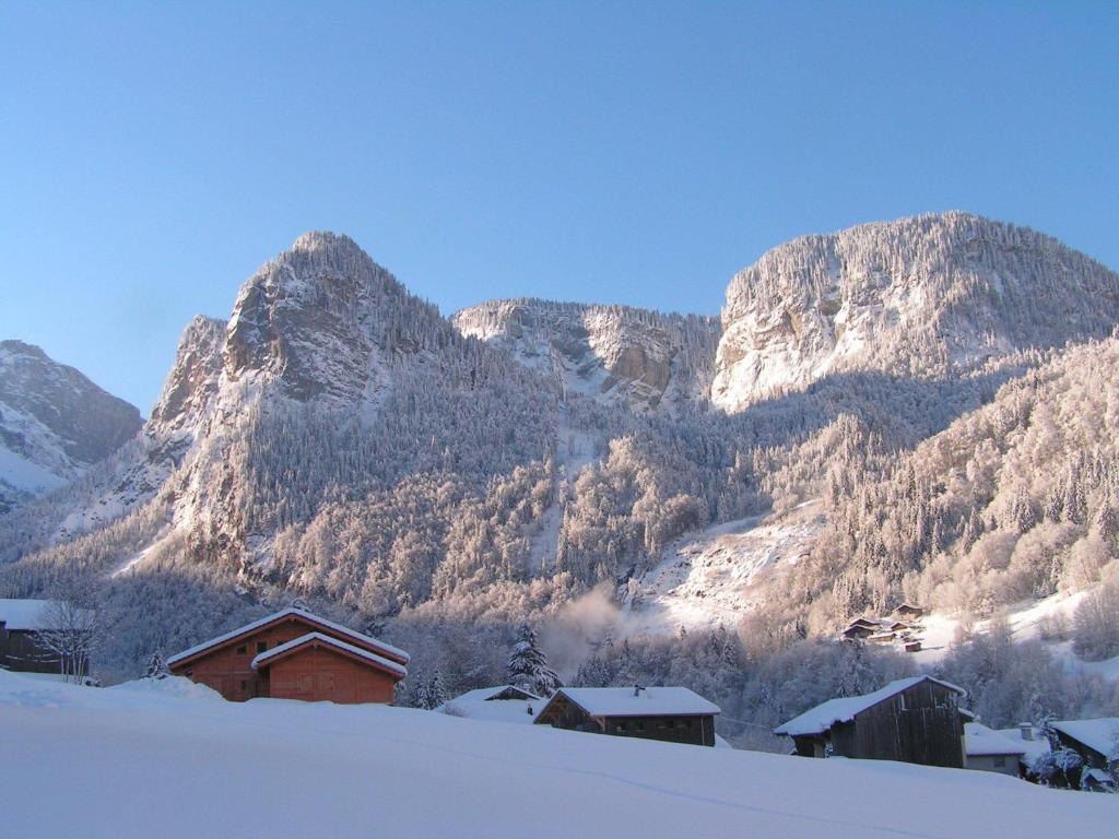 Chalet Narcisse Sixt Cameră foto